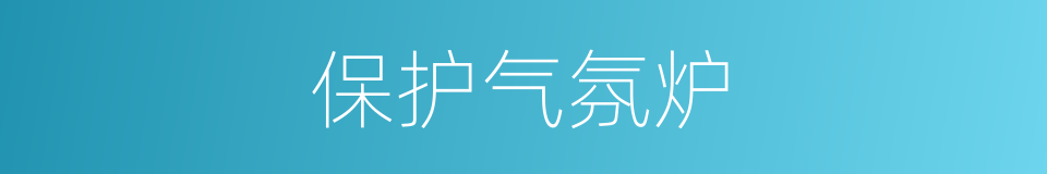 保护气氛炉的同义词