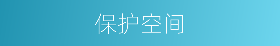 保护空间的同义词