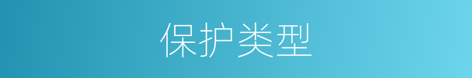 保护类型的同义词