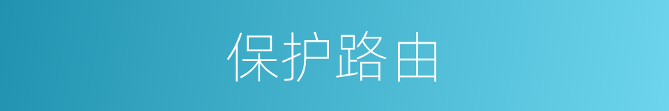 保护路由的同义词
