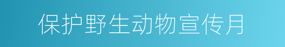 保护野生动物宣传月的同义词