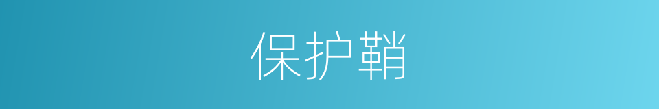 保护鞘的同义词