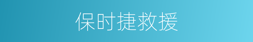 保时捷救援的同义词
