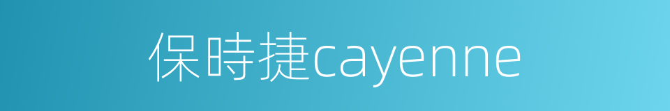 保時捷cayenne的同義詞