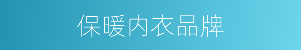 保暖内衣品牌的同义词
