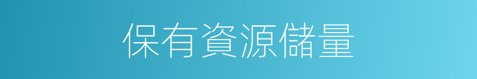 保有資源儲量的同義詞