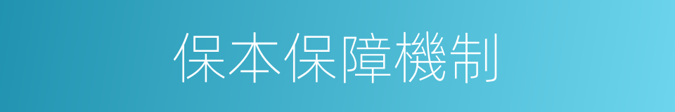 保本保障機制的同義詞