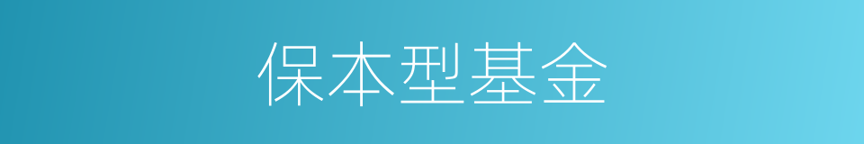 保本型基金的同义词