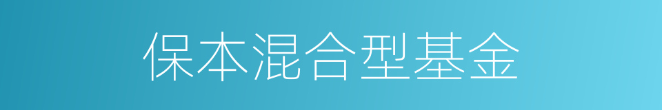 保本混合型基金的同义词