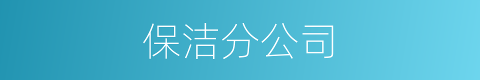 保洁分公司的同义词