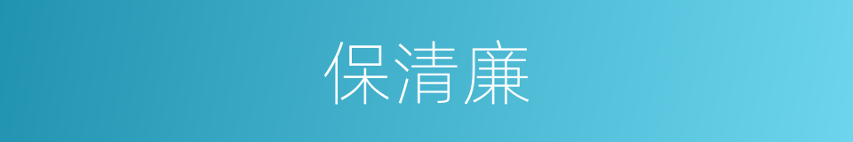 保清廉的同义词