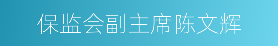保监会副主席陈文辉的同义词