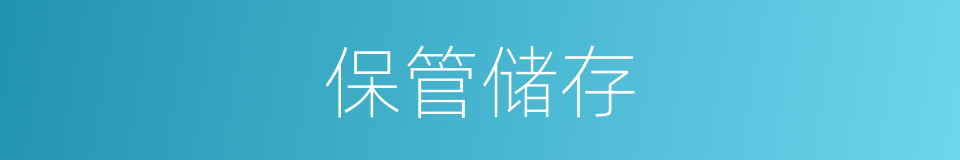 保管储存的同义词