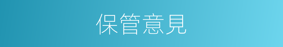 保管意見的同義詞