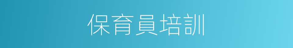保育員培訓的同義詞