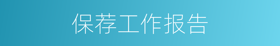 保荐工作报告的同义词