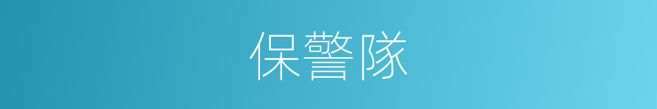 保警隊的同義詞