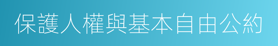保護人權與基本自由公約的同義詞