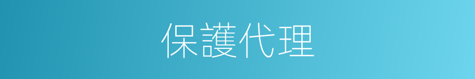 保護代理的同義詞