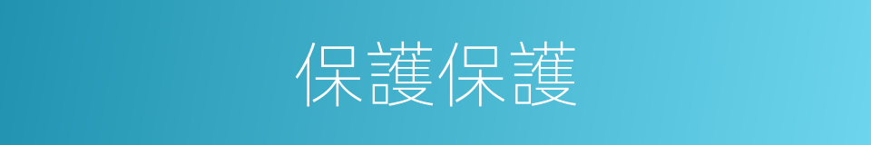 保護保護的同義詞