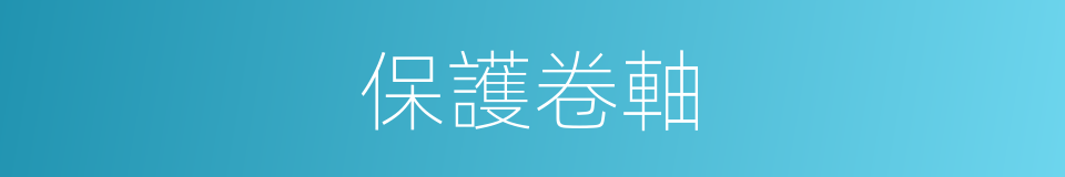 保護卷軸的同義詞