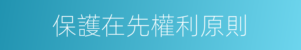 保護在先權利原則的同義詞