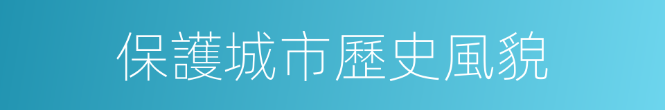 保護城市歷史風貌的同義詞