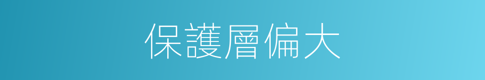 保護層偏大的同義詞