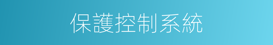 保護控制系統的同義詞