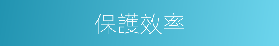 保護效率的同義詞