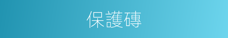 保護磚的同義詞
