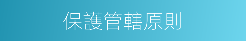保護管轄原則的同義詞