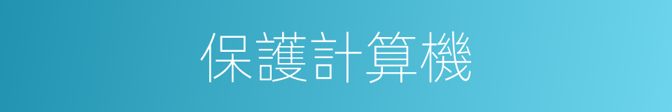 保護計算機的同義詞