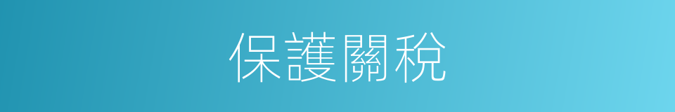 保護關稅的意思