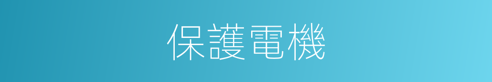 保護電機的同義詞