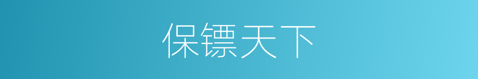 保镖天下的同义词