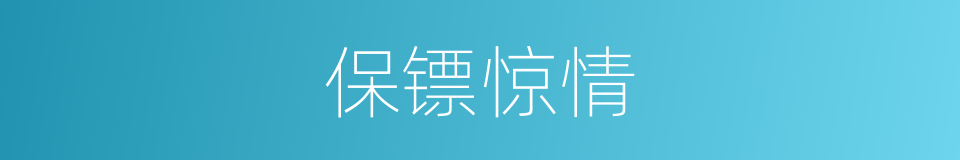 保镖惊情的同义词