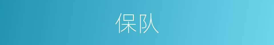 保队的同义词