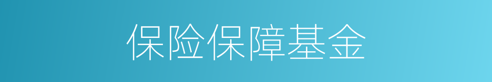 保险保障基金的同义词