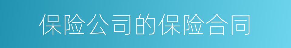 保险公司的保险合同的同义词