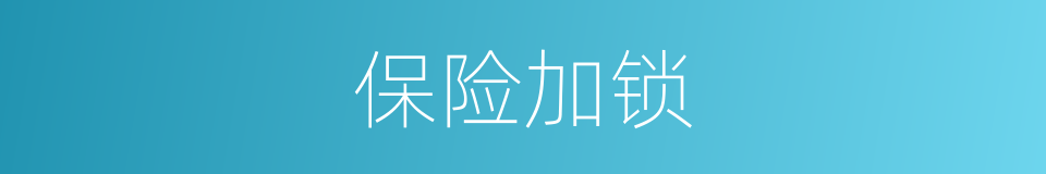保险加锁的同义词
