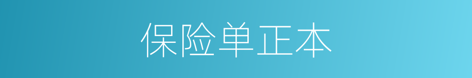 保险单正本的同义词