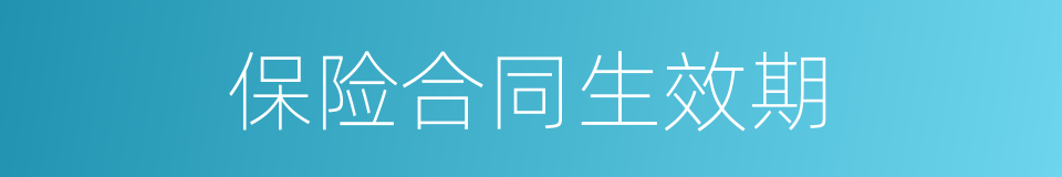 保险合同生效期的同义词
