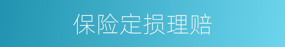 保险定损理赔的同义词