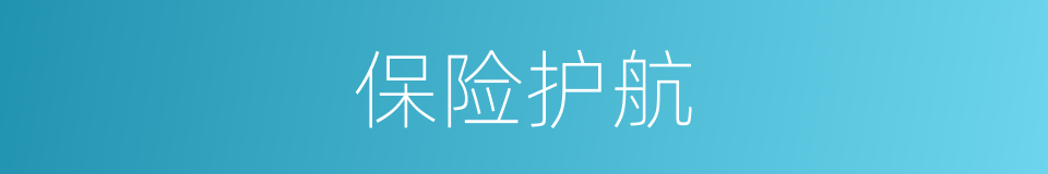 保险护航的同义词
