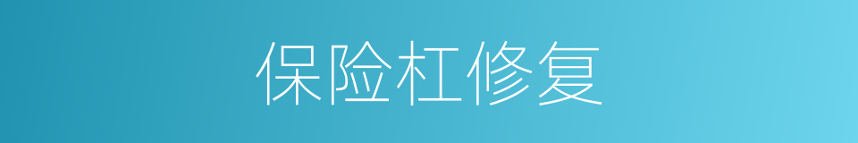 保险杠修复的同义词