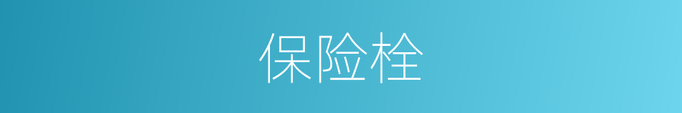 保险栓的同义词