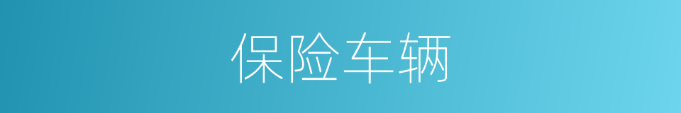 保险车辆的意思