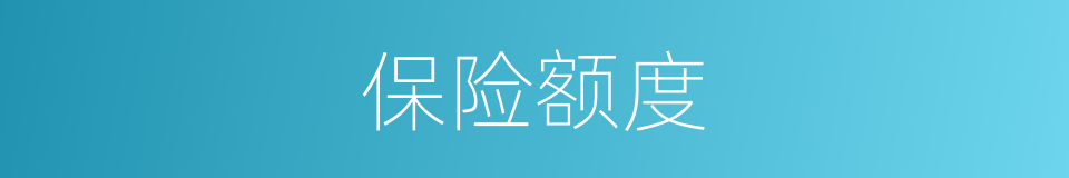 保险额度的同义词