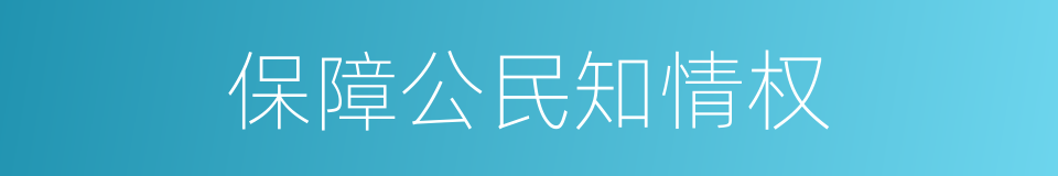 保障公民知情权的同义词